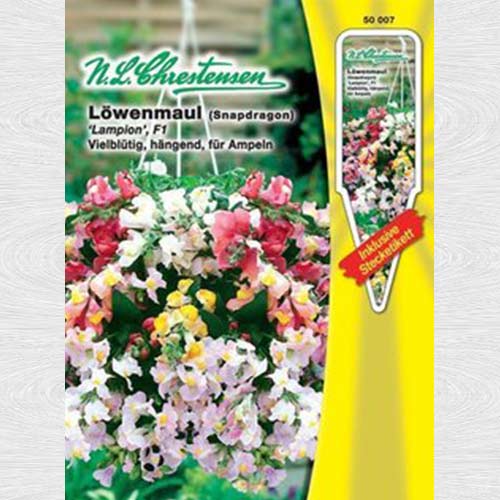 1 pac, Gura leului curgătoare Lampion F1, mix multicolor - Semințe: Mod de ambalare: 1 pac