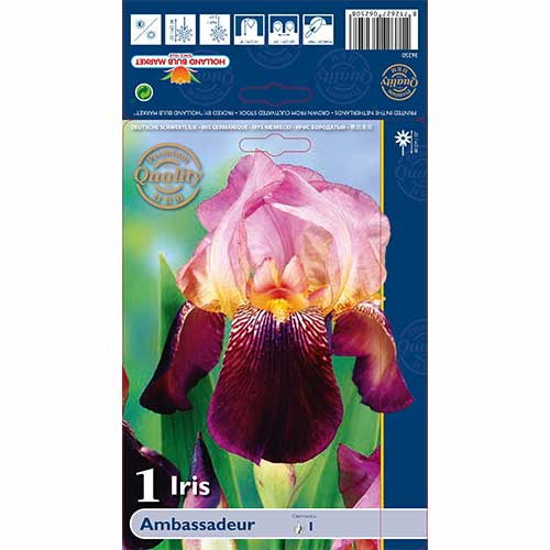 1 buc, Iris germanica (Stânjenel) Ambassadeur - Bulbi: Mod de ambalare: 1 buc