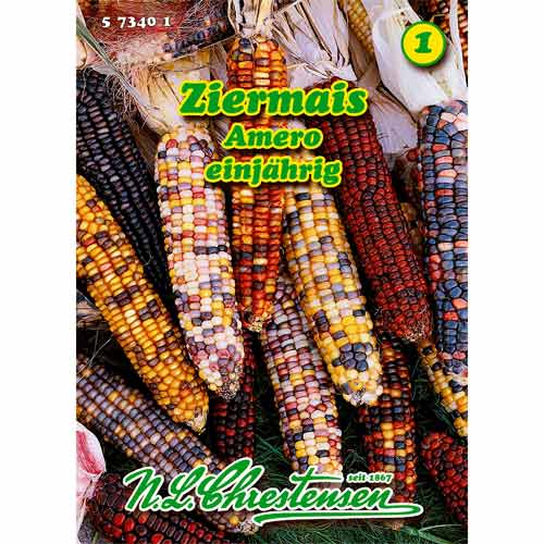 1 ob, Okrasná kukuřice Amero, směs - : Monžstvo balíkov: 1 ob