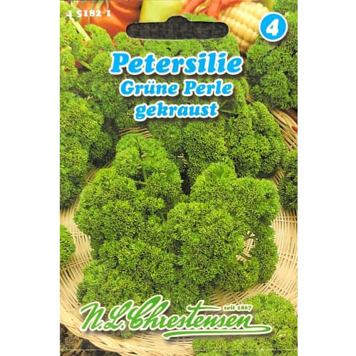 1 kus, Petržel zahradní Grune Perle - : Monžstvo balíkov: 1 kus