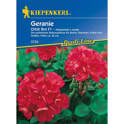 1 szt, Muskátli Orbit F1, piros - Magok: Mod de ambalare: 1 db