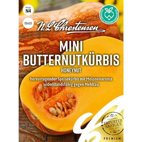 1 szt, Mini Butternutkürbis Honeynut - Samen: Ilość w opakowaniu: 1 Stück