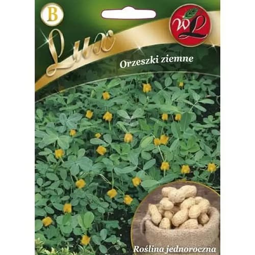 1 szt, Erdnusskerne - Samen: Ilość w opakowaniu: 10 g