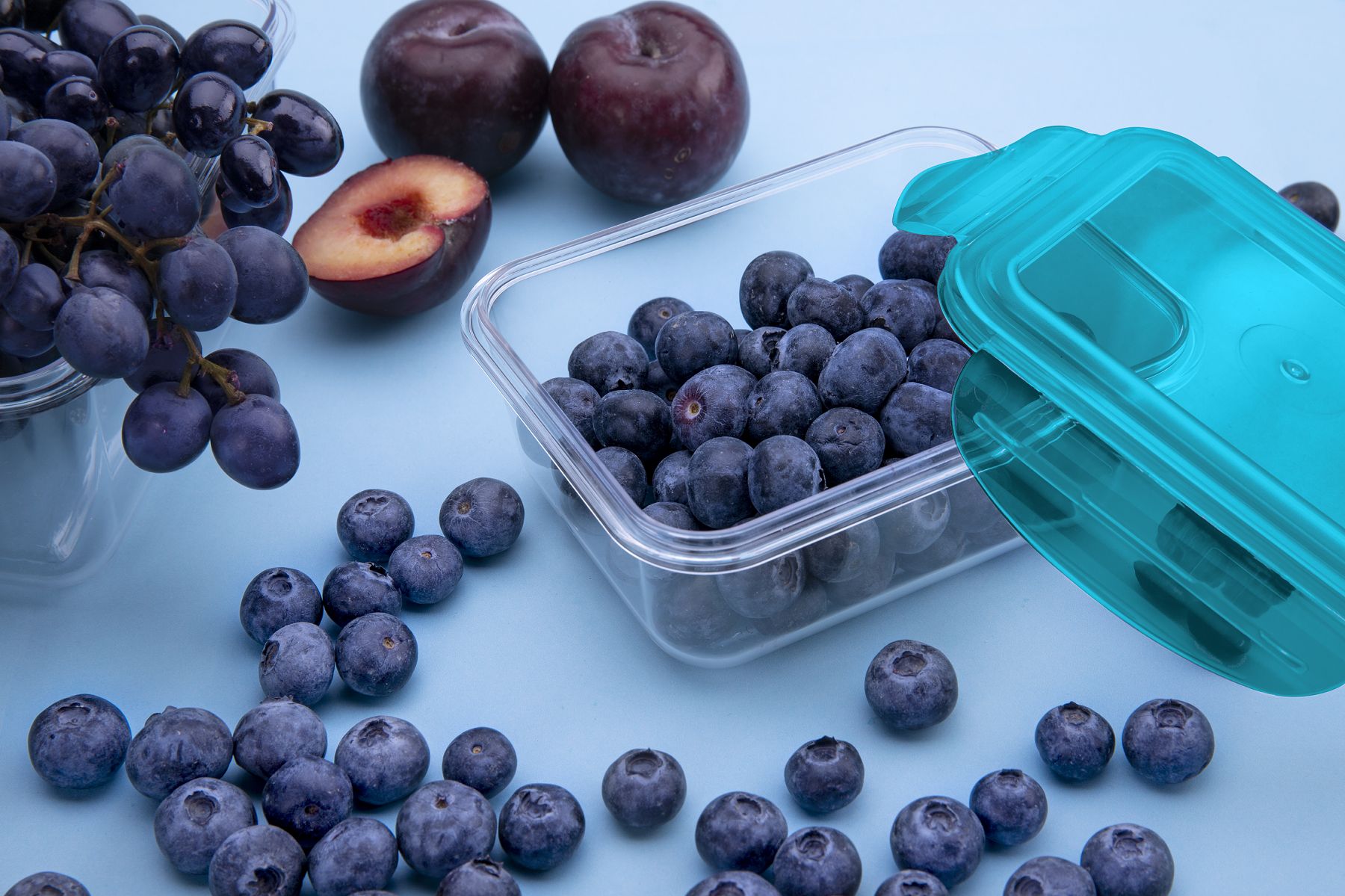 Keeeper Tino Tritan pojemnik do przechowywania 16x16x11,1 cm przezroczysty-niebieski 1111563200000