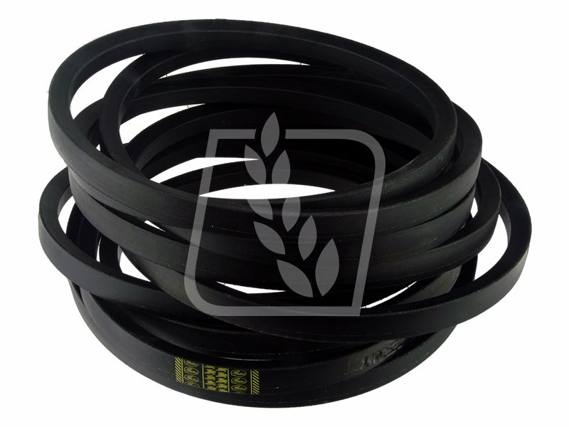 Pas sieczkarni Claas 061360 22x8229 Gates