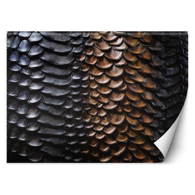 Fototapeta Feeby Tekstura skóry węża 150x105 1 szt