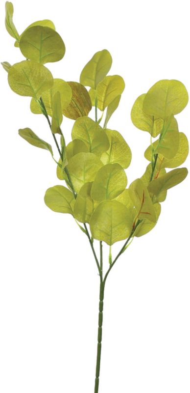 Gałązka Eukaliptusa Jumi 66 cm