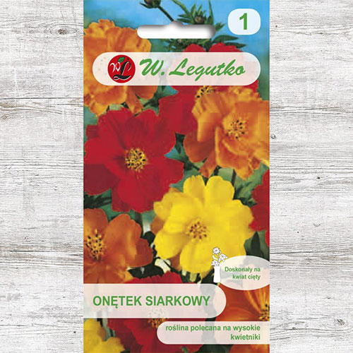 1 szt, Onętek siarkowy (Kosmos), mieszanka Legutko - Nasiona: Ilość w opakowaniu: 1 g