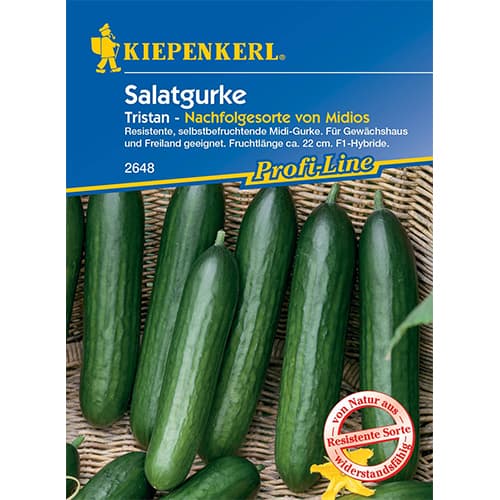 1 szt, Ogorek Midele (Tristan) F1 - Nasiona: Ilość w opakowaniu: 6 szt.