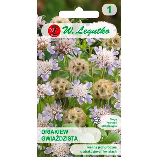 1 szt, Driakiew gwiaździsta, mix kolorow - Nasiona: Ilość w opakowaniu: 1 g
