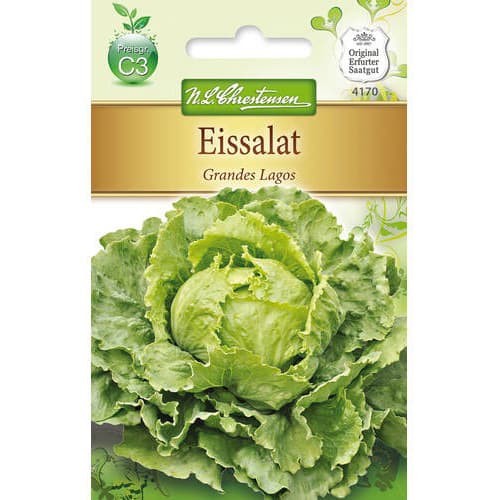 Sałata lodowa Grandes Lagos - Nasiona. Ilość w opakowaniu: 1 opak - GradinaMax