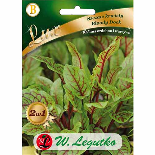 1 szt, Szczaw krwisty Bloody Dock Legutko - Nasiona: Ilość w opakowaniu: 0.2 g