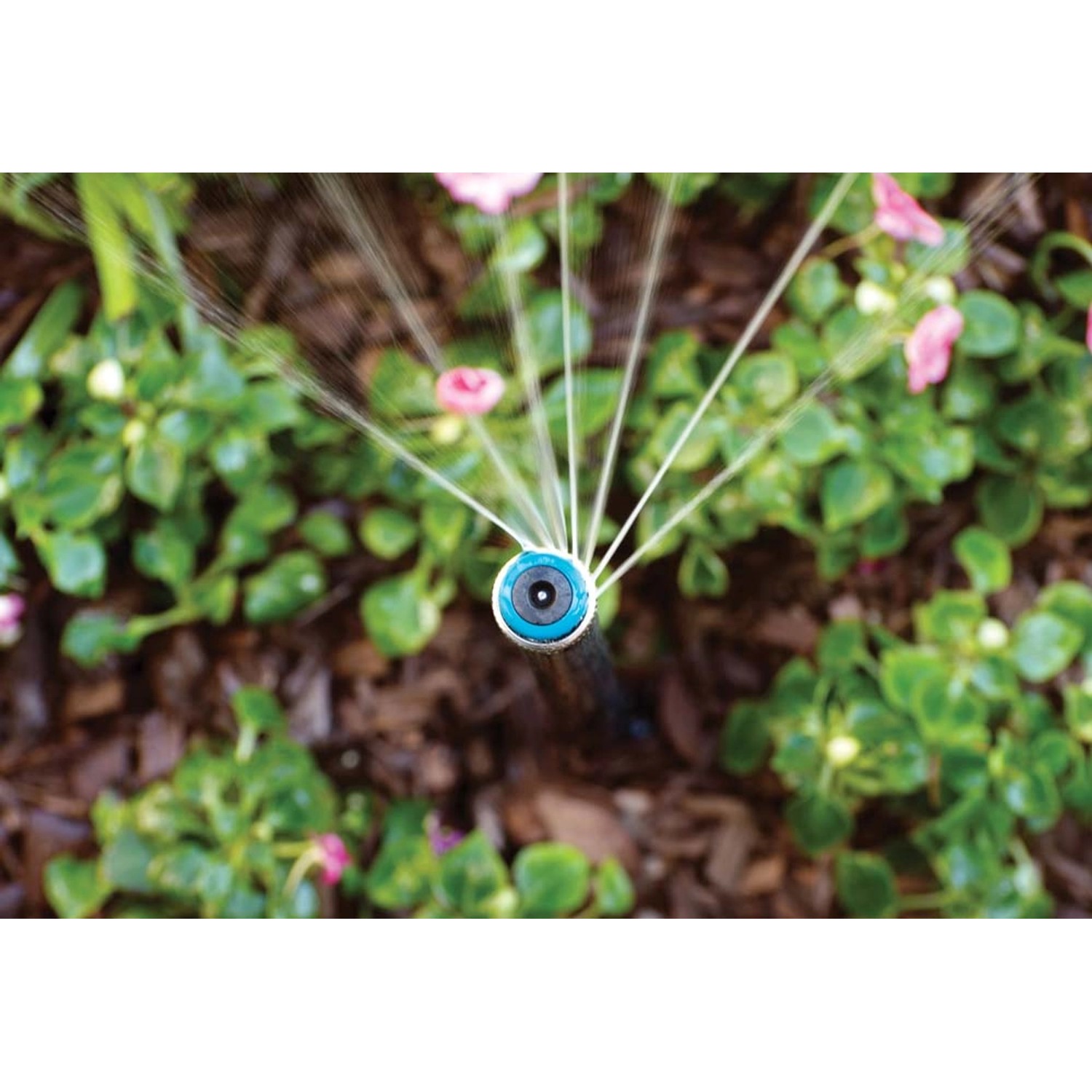 Dysza MP-ROTATOR corner Hunter 2,4-4,6 M