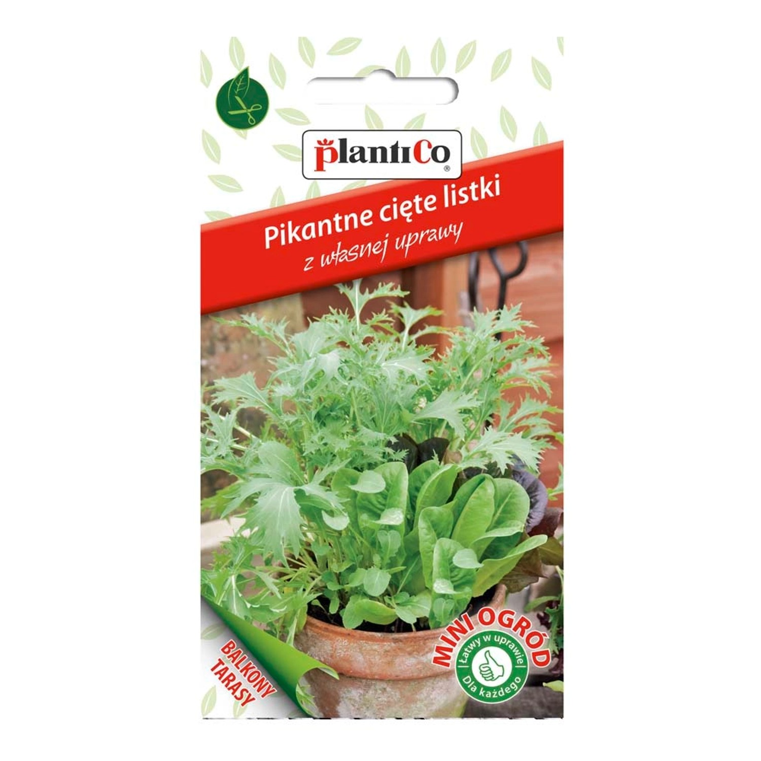 Pikantne cięte listki Mini Ogród mix