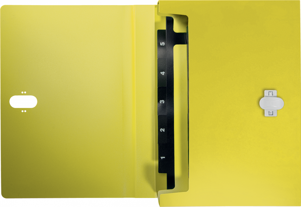 Teczka z przegródkami Leitz Recycle, A4, 5 przegródek, żółty