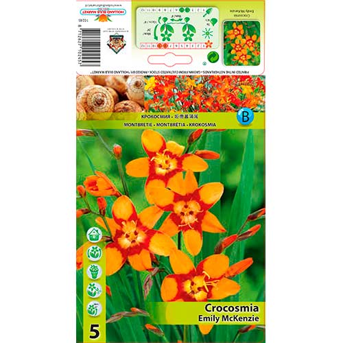 5 buc, Crocosmia Emily McKenzie - Bulbi: Mod de ambalare: 5 buc