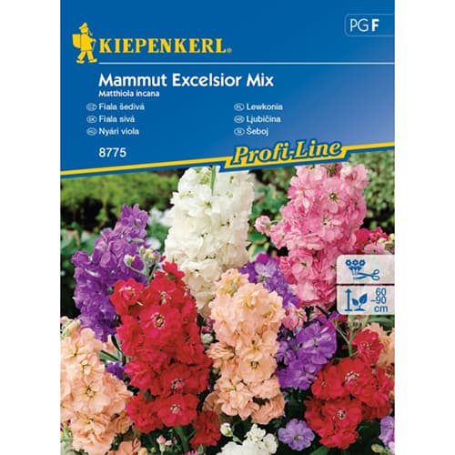 1 pac, Scabiosa Mamut, mix multicolor - Semințe: Mod de ambalare: 1 pac