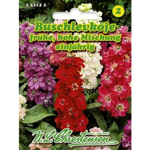 1 ob, Fiala letní vysoká, směs - : Monžstvo balíkov: 1 ob