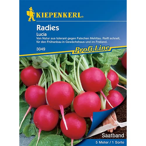 1 szt, Retek Lucia F1 - Magok: Mod de ambalare: 1 db