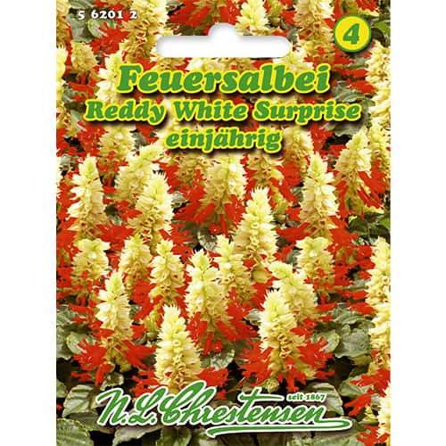 1 szt, Zsálya Reddy White Surprise - Magok: Mod de ambalare: 1 db