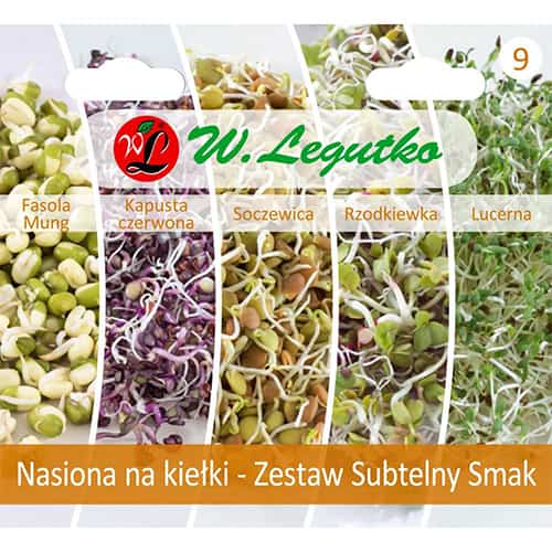 1 szt, Keimsprossen - feines Aromaset - Samen: Ilość w opakowaniu: 1 Stück