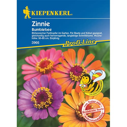 1 szt, Zinnie Bumblebee - Samen: Ilość w opakowaniu: 1 Stück