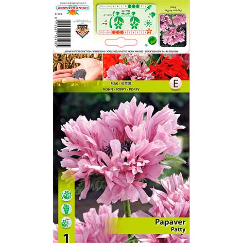 1 Stück, Orientalischer Mohn Ruffles Patty - Stauden: Ilość w opakowaniu: 1 Stück