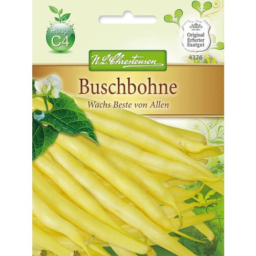 1 szt, Buschbohne Wachs Beste von Allen - Samen: Ilość w opakowaniu: 1 Stück