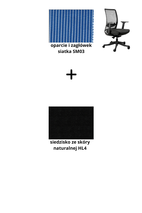 ANGGUN M fotel biurowy czarny stelaż, siatka, tkanina kolory (Kolor siedziska: skóra HL4, Kolor siatki: niebieska SM03)