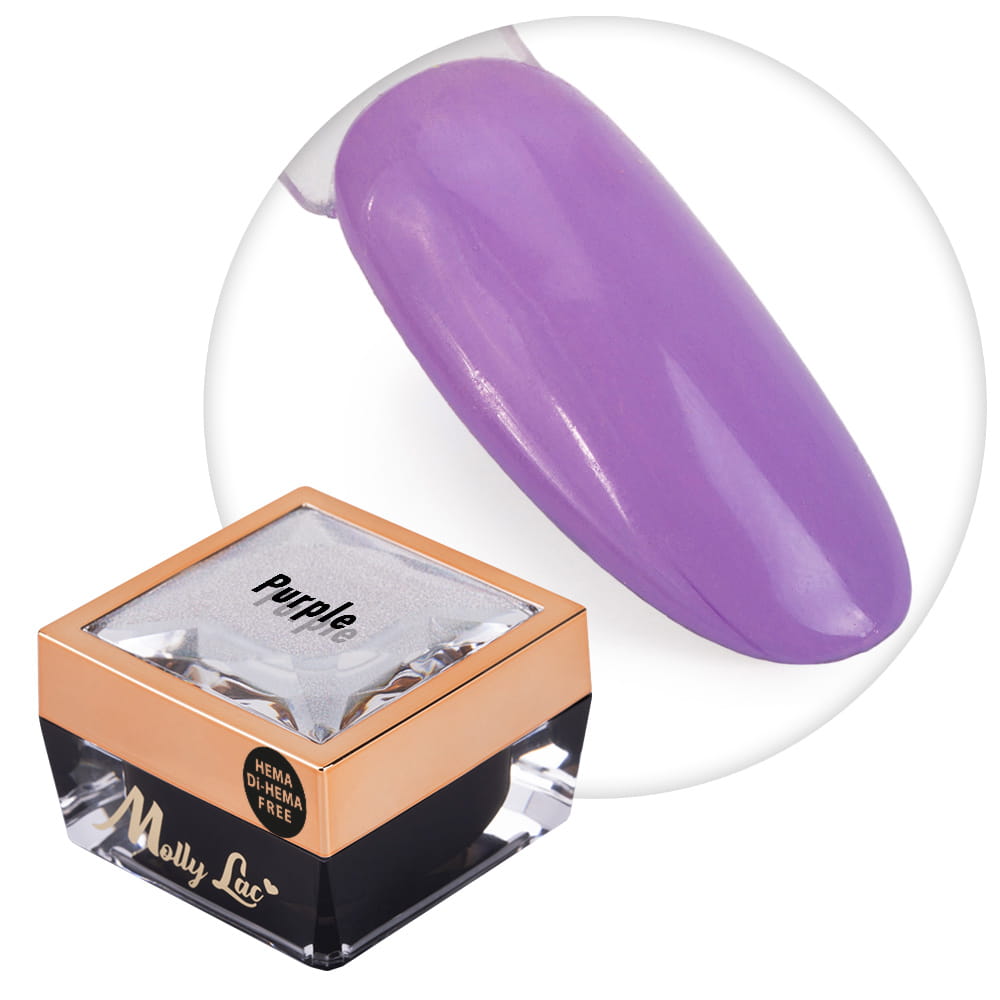 Żel do zdobień Ombre Gel paint gel ombre ornamenty MollyLac Purple HEMA/Di-HEMA Free Nr 19 5g