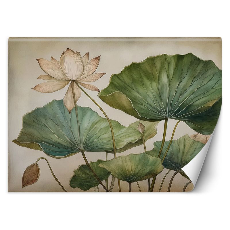 Fototapeta Feeby Liście Lilie Rośliny 450x315 1 szt