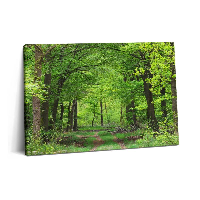 Obraz na płótnie Wallfluent 60x40 cm Leśna droga pod drzewami 1 szt.