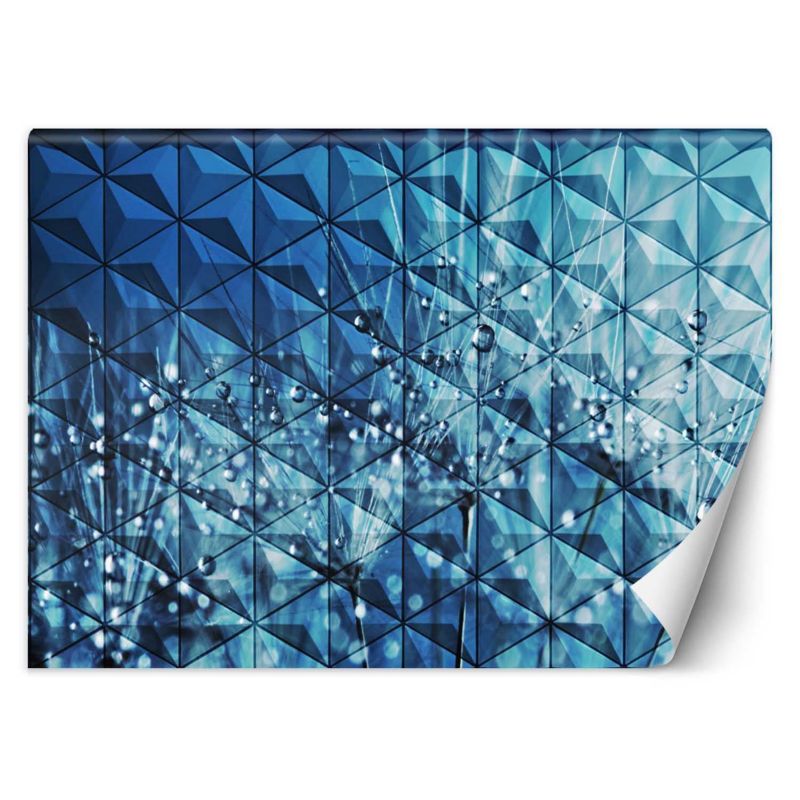 Fototapeta Feeby Krople rosy na dmuchawcu 100x70 1 szt