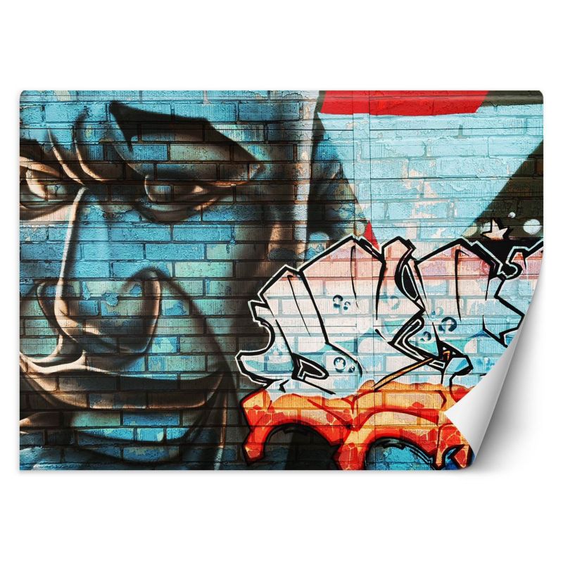 Fototapeta Feeby Graffiti na murze niebieska twarz 368x254 1 szt