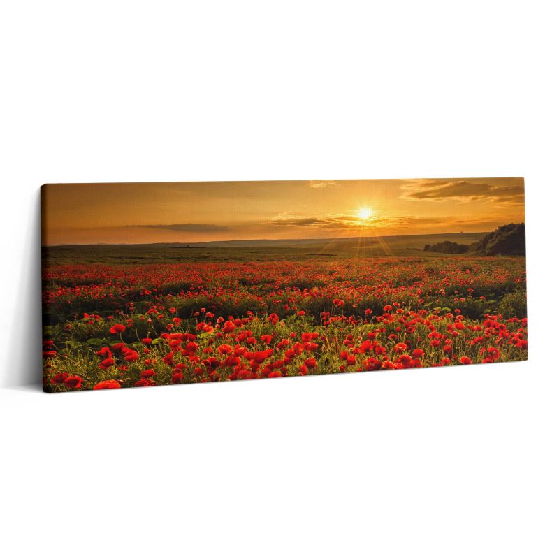 Obraz na płótnie Wallfluent 125x50 cm Pejzaż łąki kwiatów maków 1 szt.