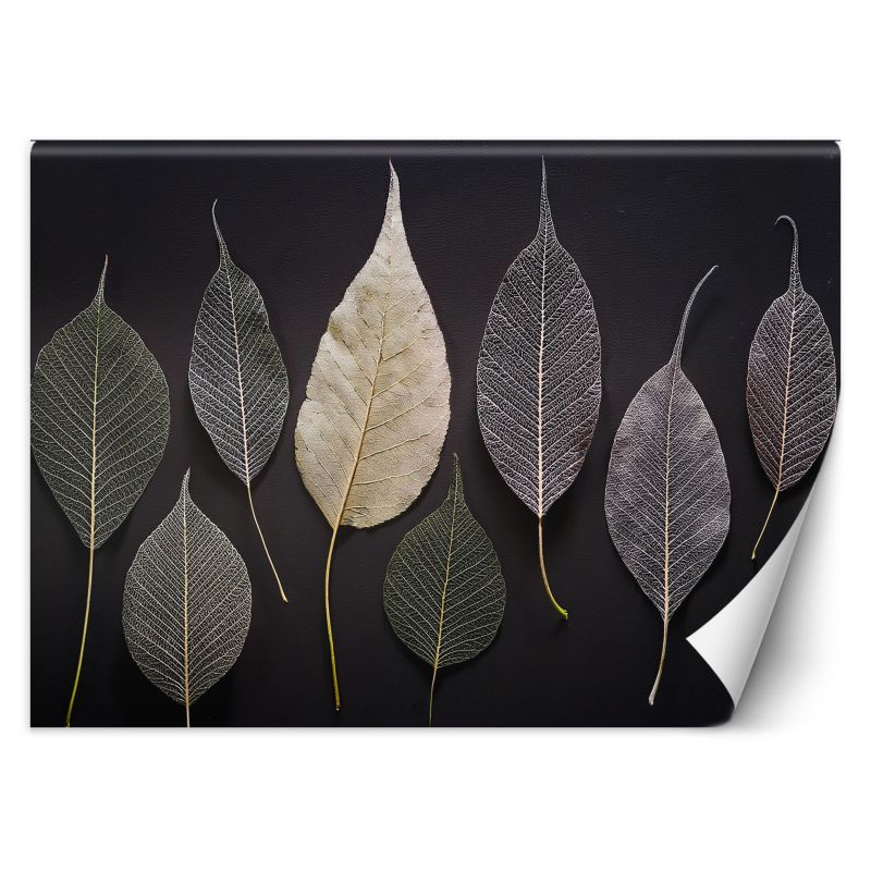 Fototapeta Feeby Minimalizm Liście Glamour Rośliny 100x70 1 szt