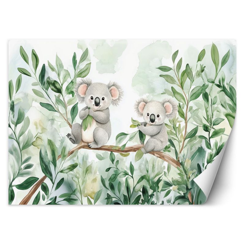 Fototapeta Feeby Misie Koala Liście eukaliptusa 100x70 1 szt