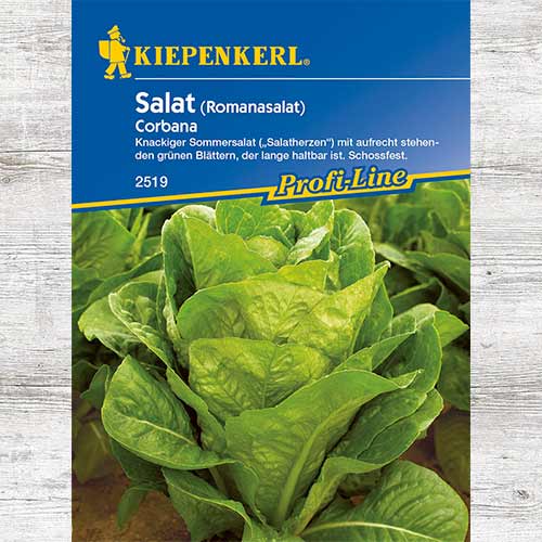 1 szt, Sałata rzymska Corbana - Nasiona: Ilość w opakowaniu: 1 opak