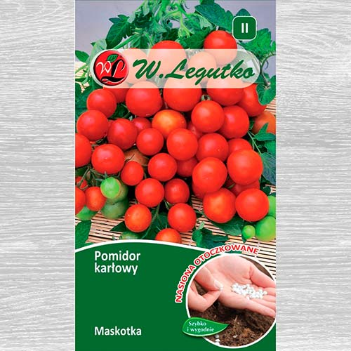 1 szt, Pomidor gruntowy karłowy Maskotka - Nasiona: Ilość w opakowaniu: 100 szt