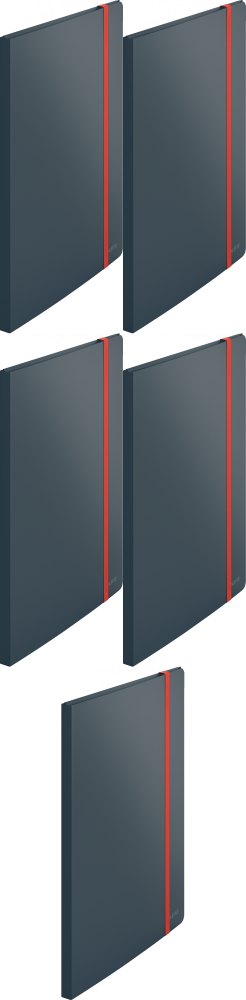 5x Album ofertowy poszerzony Leitz Cosy, A4, 20 koszulek, szary