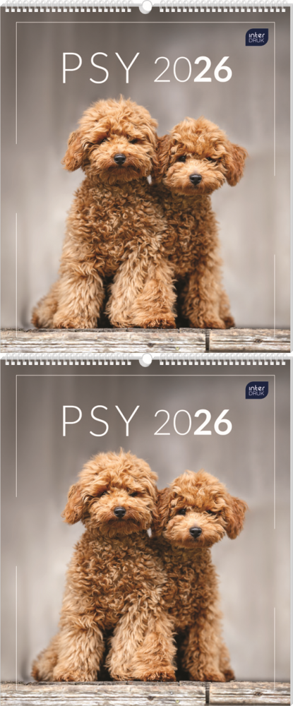 2x Kalendarz ścienny 2026, Interdruk, planszowy, 33.5x40cm, miesięczny, Psy