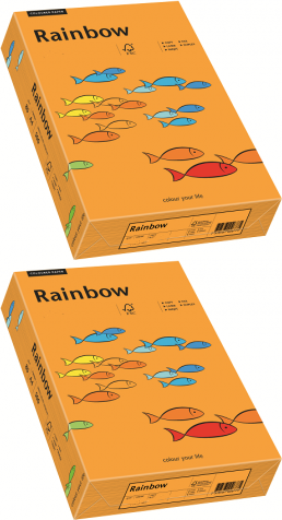 2x Papier ksero Papyrus Rainbow, A4, 160g/m2, 250 arkuszy, pomarańczowy ciemny