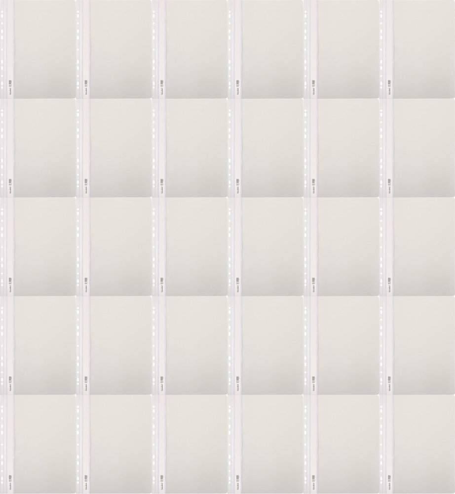 40x Skoroszyt plastikowy oczkowy Biurfol, twardy, A4, do 200 kartek, biały