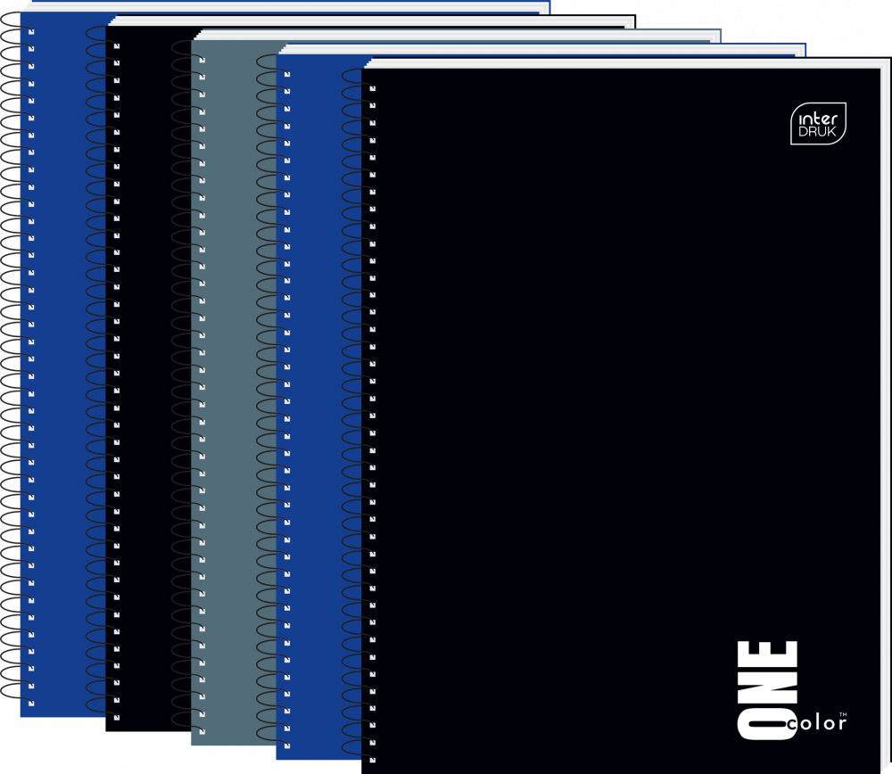 5x Kołonotatnik Interdruk One Color, A4, w kratkę, 100 kartek, mix kolorów