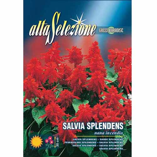 1 pac, Jaleș de grădină pitic Incendiu - Semințe: Mod de ambalare: 0.4 g