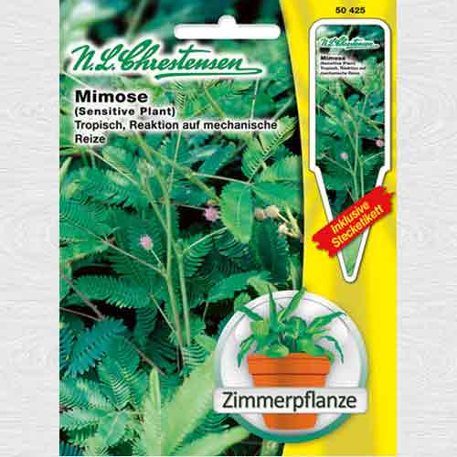 1 pac, Mimoză - Semințe: Mod de ambalare: 1 pac