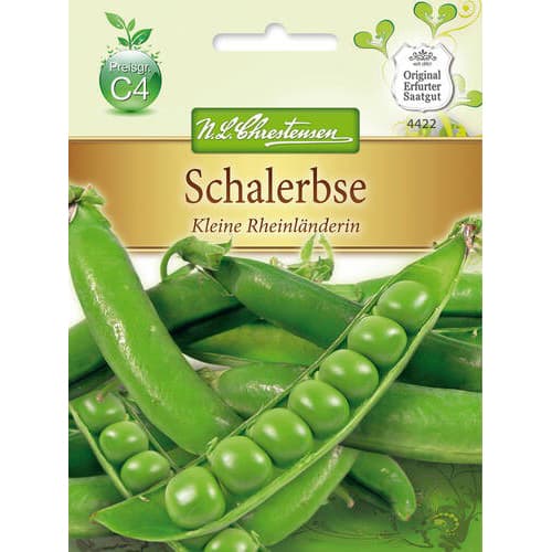 1 pac, Mazăre Little Rhinelander - Semințe: Mod de ambalare: 1 pac