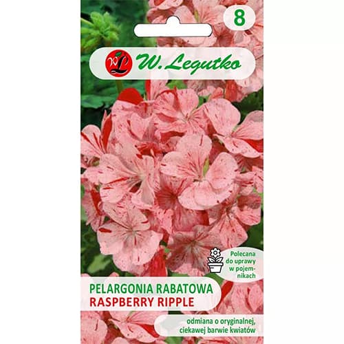 0.04 g, Pelargonie páskatá Divas F1- Raspberry Ripple - : Monžstvo balíkov: 0.04 g