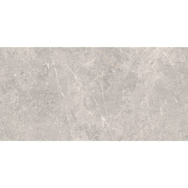 Gres szkliwiony COLDY grey mat 59,8x119,8 gat. I