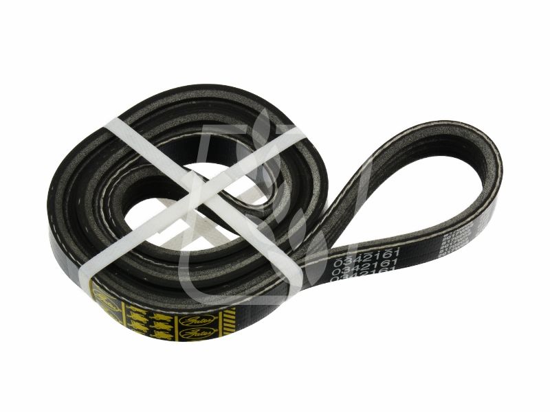 Pas Gates 0342161 0342161